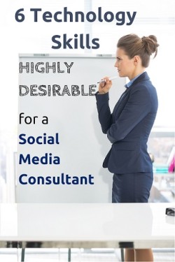 social media consultant